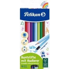 Silgili Kuru Boya Kalemi 12LI Kutu