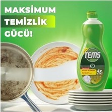 Hype Store Tems Elde Yıkama Bulaşık Deterjanı 500 ml