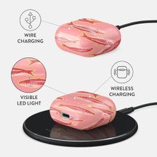 Hype Store Apple Airpods 4 ile Uyumlu Kılıf, Gourmet