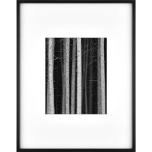 Hype Store Mcs 65982 Foundry Galeri Duvar Çerçevesi, 35,56 x 45,72 cm Matlaştırılmış 20,32 x 25,4 Cm, Siyah