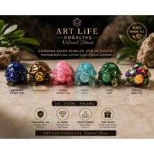 Sezaiiletişim 6 Altılı Kaplumba Set