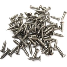 Twin Store Nikel 1000 Adet Klips Vidası 2,2x9,5 mm Yhb - Konik Başlı Kutu, Sandık, Ayak, Askı, Mini Vida