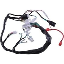 Empressco 51907 Kuba Cg 100 Akü Beslemeli Elektrik Tesisatı (Arzu)