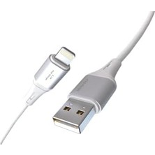 Wheat Grains Global Store 2ADET x 2metre USB A-Lightning Kablo Seti, 3.1A Hızlı Şarj, Beyaz/gümüş Metal, Remorax (2AD x 2metre Beyaz)
