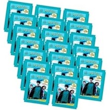 TeOra Store Panini Harry Potter Hogwarts'ta 1 Yıl Sticker Seti 20LI Paket (20'li Paket= 40 Stciker+ 20 Kart) KBESTHARRY20