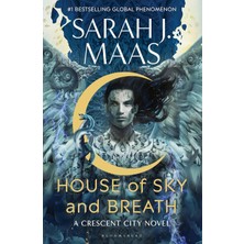 Wheat Grains Global Store House Of Sky And Breath A Crescent City Novel