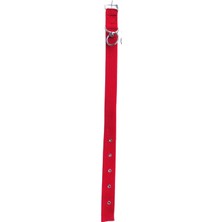 Kırmızı Dayanıklı Dokuma Köpek Tasması 50 cm
