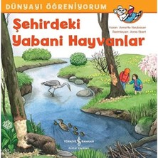 Wheat Grains Global Store Dünyayı Öğreniyorum - Şehirdeki Yabani Hayvanlar