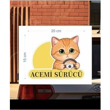Yake Store Parti Tasarla Acemi Sürücü Sevimli Kedi Araba Etiketi & Sticker Çok Renkli