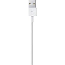 Wheat Grains Global Store Apple Lightning - USB Kablosu 0.5 M