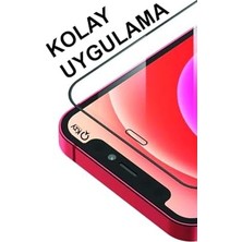 Wheat Grains Global Store Galaxy A25 5g ile Uyumlu Tam Kaplayan 21D Temperli Ekran Koruyucu Cam