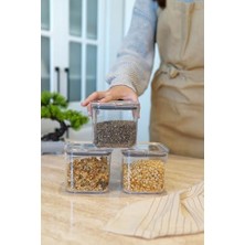 Yake Store Evle Pratik Saklama Kabı 3 x 700 Ml, Çok Renkli