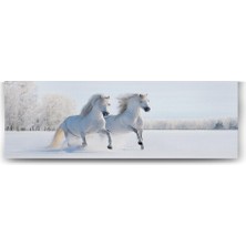 Mey İthalat Tabloshop Beyaz Atlar Panorama Tablo - 120X40CM