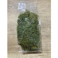 Altın Gıda 45 25 gr Doğal Kaya Yosunu |  Gerçek Yosun Çim | Solmaz Bozulmaz | Teraryum, Saksı ve Dekoratif