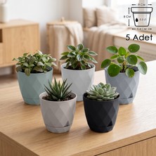 ToXA 5 Adet Prizma Model Geçme Sistem Tabaklı Parlak Dekoratif Plastik Yakamoz Saksı