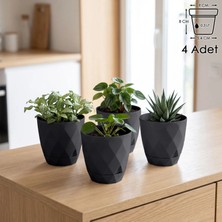 ToXA 4 Adet Prizma Model Geçme Sistem Tabaklı Parlak Dekoratif Plastik Yakamoz Saksı