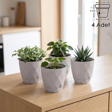 ToXA 4 Adet Prizma Model Geçme Sistem Tabaklı Parlak Dekoratif Plastik Yakamoz Saksı