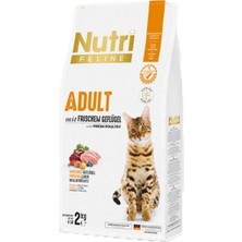 Uravas Store Nutri Feline Adult Frıschem Salmon 2kg ( Somonlu Yetiskin Kedi Maması)