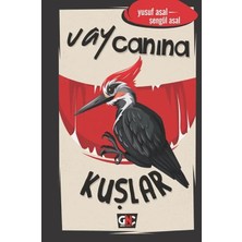 Uravas Store Vay Canına Kuşlar