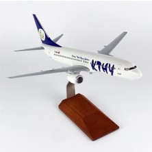 THY060 1/100 Ölçek, Kıbrıs Kthy B737-800 Yolcu Uçağı, Sergilemeye Hazır Ahşap Standlı Model