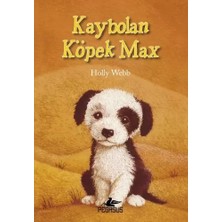Uravas Store Kaybolan Köpek Max