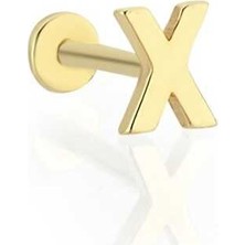 x Harfi Tragus Piercing