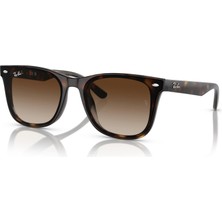 Ray-Ban 4420 710/13 65 Unisex Güneş Gözlüğü Leopar Çerçeve UV 400 Koruma Özelliği ile