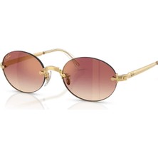 Ray-Ban 3929 001/8H 54 Güneş Gözlüğü