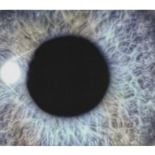 SoundBox Dan Swanö - Moontower (Re-Issue) - 1 Plak