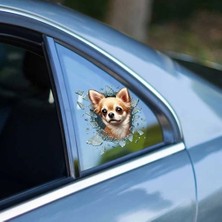 Uravas Store Mey Ithalat® Fulcar Chiuahua Araç Stickerı
