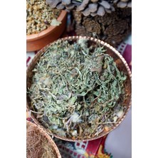 Hatay Akkız Yöresel Karahindiba 100 gr