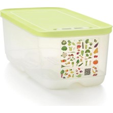 Tupperware Sera Serisi Alçak Gövdeli Gıda Saklama Kabı Lime 6.1 Lt