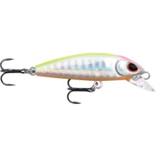 Rapala Dense Sinking Sert Balık, Küçük, Ağır, Spin Avcılığı Için Ideal, Hızlı Aksiyon, Tüm Sularda E