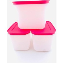 Tupperware Tupperware Alaska 3 Lü 1.1 Lt Derin Saklama Kabı