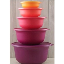 Tupperware Aloha Set Saklama Kabı