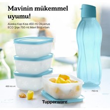 Tupperware Alaska 450 ml 4 Lü ve Eko Şişe Suluk 750 ml Set