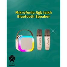 Armüz Iki Mikrofonlu Renkli LED Işıklı Karaoke Cihazı