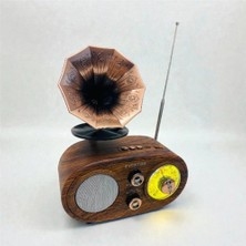 Everton RT-746  Bluetooth Fm-Usb-Tf-Aux  Şarjlı Nostaljik Radyo (Kdo)