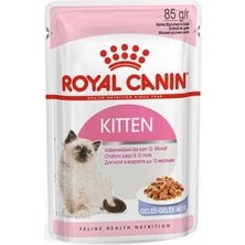 Northcity Pouch Kitten Jelly Yavru Kedi Konservesi 12 Adet 85 gr - Sağlıklı ve Lezzetli Beslenme Için