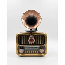 Everton RT-606 Gramofonlu, Şarjlı,  Nostaljik Radyo( Bluetooth-Usb-Sd-Fm) (Kdo)