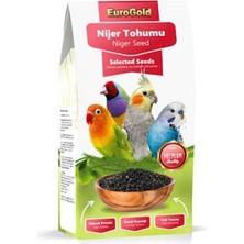 Northcity Nijer Tohumu Kuş Yemi 100 gr - Tüm Kuş Türlerine Uygun Besin Kaynağı