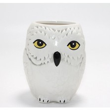 Royaleks Harry Potter Hedwig Tasarım Porselen Kupa Bardak ALK4494