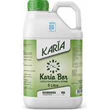 Karia Bor Çözeltide Boratlı Gübre 5 L