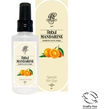 Rebul 125ML Mandalina  Spreyli Kolonya Pet (Kdo)