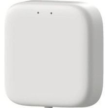 Gümrük Bey Tuya TYGWZB-01N Multi-Mode Gateway | Smart Life Uyumlu