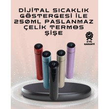 Mariposa Secret 250ML LED Ekranlı Paslanmaz Çelik Akıllı Termos