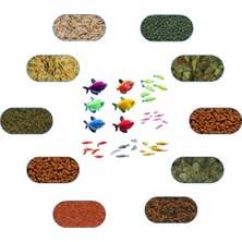 Tetra - Tetrazon Yem Pakti 100 gr (5 Çeşit)