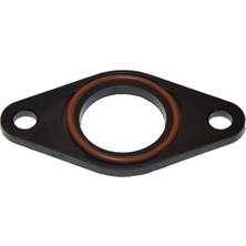 Rk 33111 Rks Private Manifold Fiberi