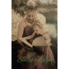 Hsc Bilişim Seeds Of Love Prayer Journal: A Daily Journal Of Prayers, Dreams, Gratitude And Inspirational Messa