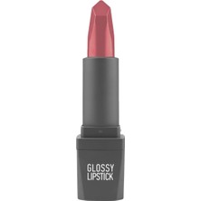 Hsc Bilişim Alix Avien Uzun Süre Kalıcı Yoğun Renk Veren Nemlendirici Parlak Ruj - Glossy Lipstick 314 Dirty Ro